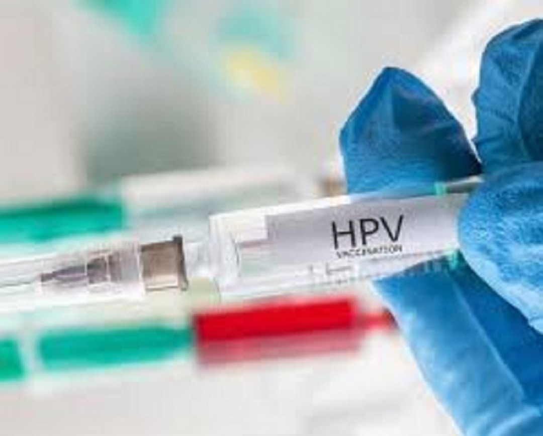 hpv_3b50ab8841683b596fa7e57.jpg