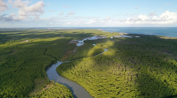 Sergipe chega à COP 30 com agenda de desenvolvimento sustentável e descarbonização