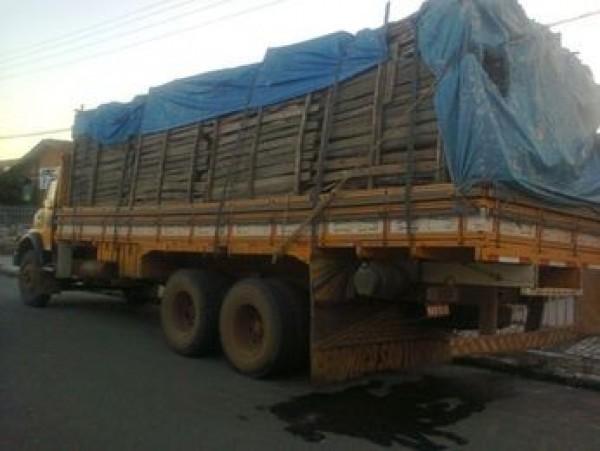 r-6_9cbd7556d6f888226c5a9922daa.jpg