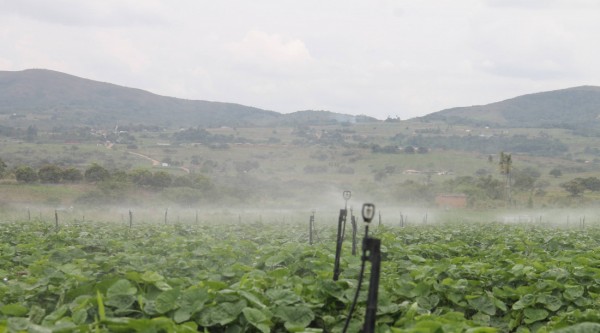 Perímetro irrigado de Itabaiana produz alimentos doados para 600 famílias em Santa Rosa de Lima